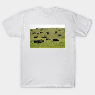 Cattle grazing on a sandy prairie (C026/7746) T-Shirt